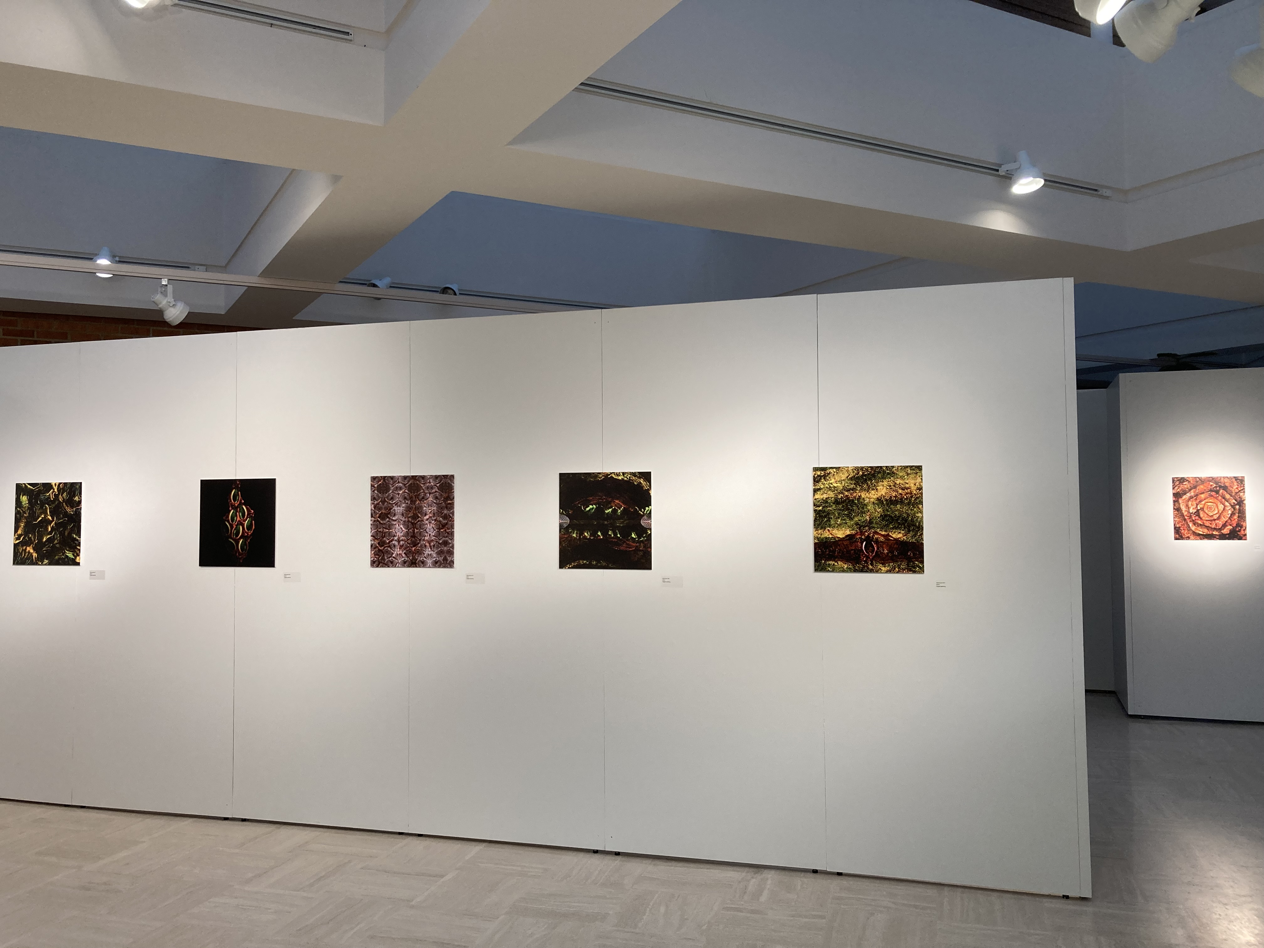 Inside front of back wall